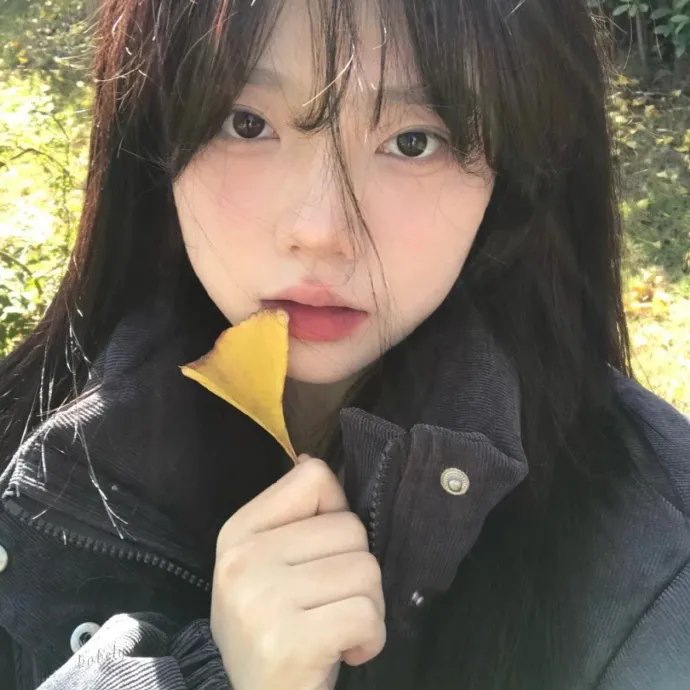 铁面无私